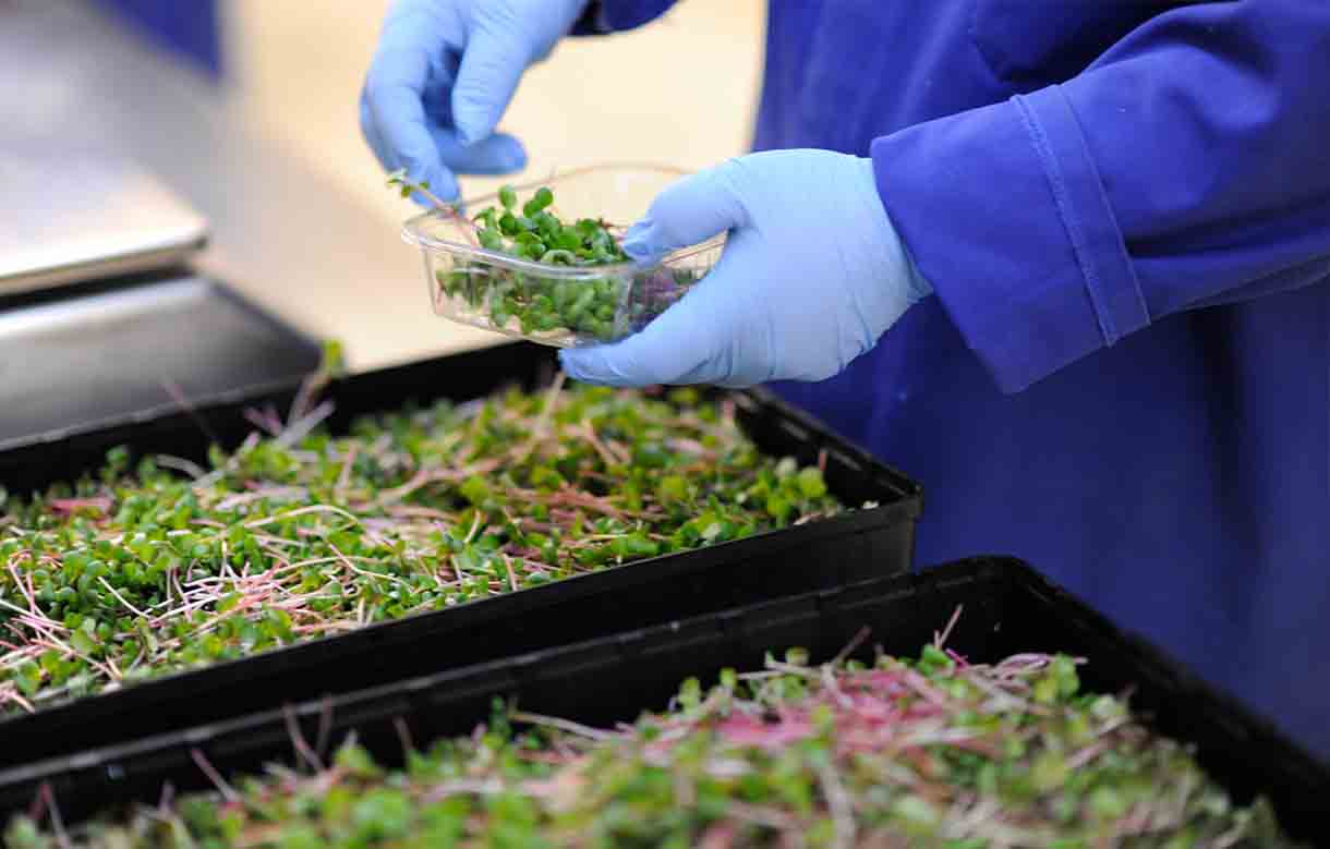 Agricultural Microbiology